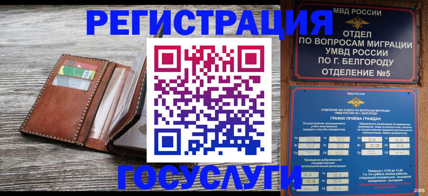 прописка 2025 в Моздоке